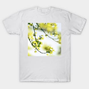 Once upon a spring T-Shirt